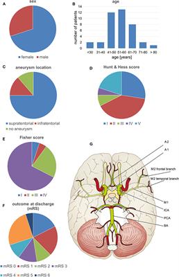 Automated Grading of Cerebral Vasospasm to Standardize Computed Tomography Angiography Examinations After Subarachnoid Hemorrhage